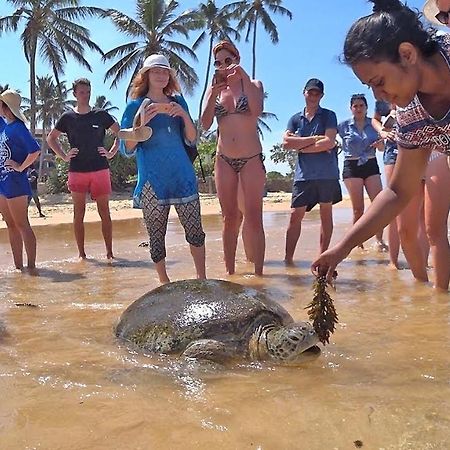 Отель Turtle Bay Хиккадува Экстерьер фото